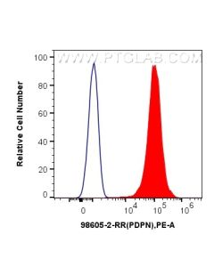 Anti-Human Podoplanin Rabbit Recombinant Antibody Proteintech  98605-2-RR