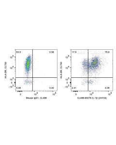 Anti-Human IL-1 beta (2A7C6) Proteintech  65276-1-Ig