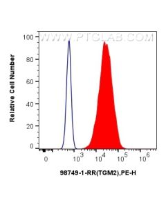 Anti-Human TGM2 Rabbit Recombinant Antibody Proteintech  98749-1-RR