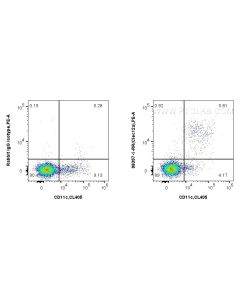 Anti-Mouse CLEC12A/CD371 Rabbit Recombinant Antibody Proteintech  98357-1-RR