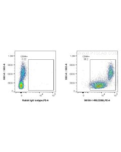 Anti-Human CD98/SLC3A2 Rabbit Recombinant Antibody Proteintech  98190-1-RR