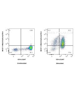 Anti-Human CXCL8/IL-8 Rabbit Recombinant Antibody Proteintech  98137-1-RR