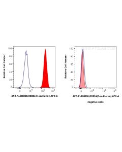 FcZero-rAb? APC Anti-Human E-cadherin Rabbit Recombinant Antibody Proteintech  APC-FcA98030