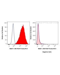 Anti-Mouse PDGFR beta/CD140b Rabbit Recombinant Antibody Proteintech  98207-1-RR