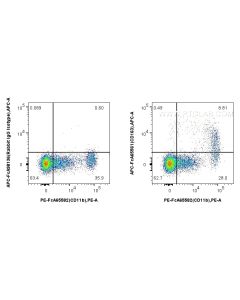 FcZero-rAb? APC Anti-Human CD163 (GHI/61) Rabbit IgG Recombinant Antibody Proteintech  APC-FcA65561