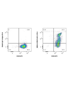 Anti-Human PLXNC1 Rabbit Recombinant Antibody Proteintech  98534-2-RR