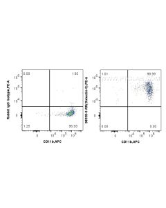 Anti-Mouse Galectin-3 Rabbit Recombinant Antibody Proteintech  98335-3-RR
