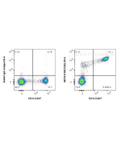 Anti-Human TLR2 Rabbit Recombinant Antibody Proteintech  98376-5-RR