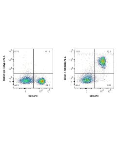 Anti-Mouse CD6 Rabbit Recombinant Antibody Proteintech  98161-1-RR