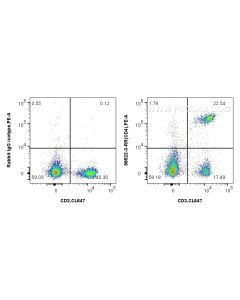 Anti-Mouse CD4 Rabbit Recombinant Antibody Proteintech  98522-3-RR