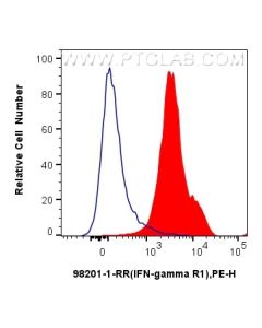Anti-Mouse IFNGR1/CD119 Rabbit Recombinant Antibody Proteintech  98201-1-RR