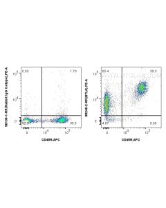 Anti-Mouse BTLA/CD272 Rabbit Recombinant Antibody Proteintech  98246-2-RR