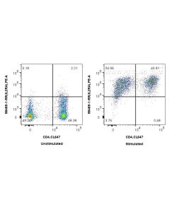 Anti-Human CD25/IL-2RA Rabbit Recombinant Antibody Proteintech  98469-1-RR