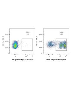 Anti-Mouse CD24 (M1/69) Proteintech  65121-1-Ig