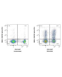 Anti-Human TNF-alpha Rabbit Recombinant Antibody Proteintech  98064-1-RR