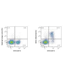 Anti-Mouse CD138/Syndecan-1 Rabbit Recombinant Antibody Proteintech  98152-1-RR