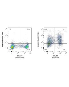 Anti-Human LIGHT/CD258 Rabbit Recombinant Antibody Proteintech  98063-1-RR