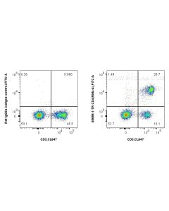 Anti-Mouse CD4 (RM4-4) Rat IgG2a Recombinant Antibody Proteintech  65655-1-TR