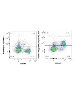 Anti-Mouse gp130/IL6ST Rabbit Recombinant Antibody Proteintech  98275-1-RR