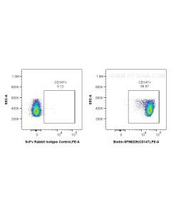 Biotin Anti-Mouse CD147 Rabbit scFv Antibody Proteintech  Biotin-SF98229