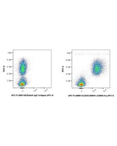 FcZero-rAb? APC Anti-Human CEACAM5/8 (CD66b/e) Rabbit Recombinant Antibody Proteintech  APC-FcA98012