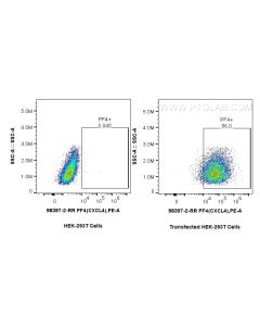 Anti-Mouse CXCL4/PF4 Rabbit Recombinant Antibody Proteintech  98397-2-RR