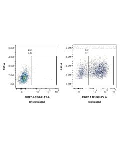 Anti-Human IL-6 Rabbit Recombinant Antibody Proteintech  98087-1-RR