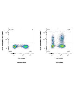 Anti-Human IFN-gamma Rabbit Recombinant Antibody Proteintech  98187-1-RR