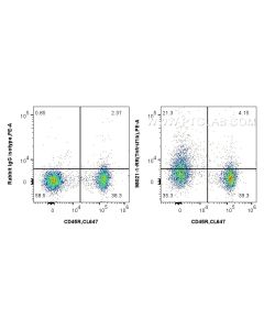Anti-Mouse TNFR2/CD120b Rabbit Recombinant Antibody Proteintech  98021-1-RR