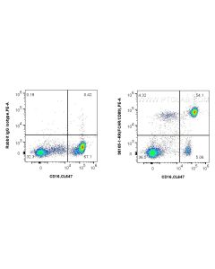 Anti-Human CD89 Rabbit Recombinant Antibody Proteintech  98105-1-RR