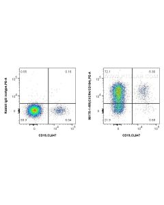 Anti-Human CXCR4/CD184 Rabbit Recombinant Antibody Proteintech  98175-1-RR