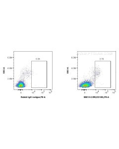 Anti-Human Endoglin/CD105 Rabbit Recombinant Antibody Proteintech  98013-2-RR