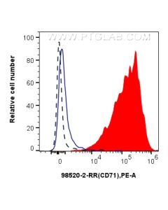 Anti-Human CD71 Rabbit Recombinant Antibody Proteintech  98520-2-RR