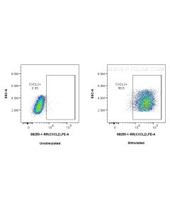 Anti-Mouse CXCL2 Rabbit Recombinant Antibody Proteintech  98259-1-RR
