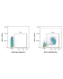 Anti-Mouse NCAM1/CD56 Rabbit Recombinant Antibody Proteintech  98118-1-RR