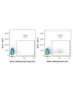 Anti-Rat NKp46/NCR1 Rabbit Recombinant Antibody Proteintech  98250-1-RR