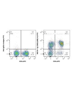 Anti-Mouse CD62L (MEL14) Proteintech  65219-1-Ig