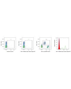 Mouse IgG1, λ isotype control Recombinant Antibody Proteintech  98741-1-MR