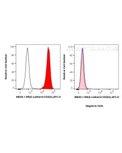 Anti-Human E-cadherin Rabbit Recombinant Antibody Proteintech  98030-1-RR