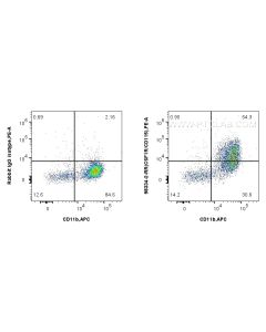 Anti-Mouse CSF1R/CD115 Rabbit Recombinant Antibody Proteintech  98334-2-RR