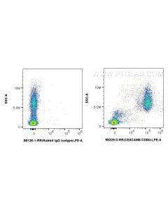 Anti-Human CEACAM6/CD66c Rabbit Recombinant Antibody Proteintech  98329-3-RR