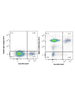 Anti-Human CD32 Rabbit Recombinant Antibody Proteintech  98601-2-RR