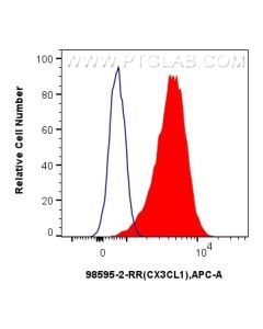 Anti-Human CX3CL1 Rabbit Recombinant Antibody Proteintech  98595-2-RR