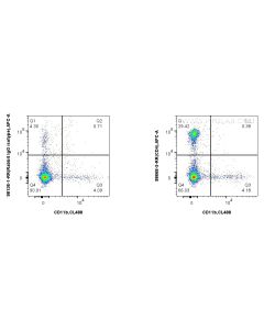 Anti-Pig CD4 Rabbit Recombinant Antibody Proteintech  98668-3-RR