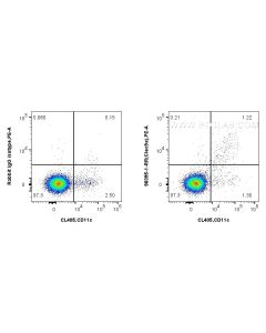 Anti-Mouse CLEC9A/CD370 Rabbit Recombinant Antibody Proteintech  98395-1-RR