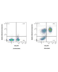 Anti-Mouse CD134/OX40 Rabbit Recombinant Antibody Proteintech  98409-2-RR
