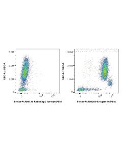 FcZero-rAb? Biotin Anti-Human Siglec-9 Rabbit Recombinant Antibody Proteintech  Biotin-FcA98264-6