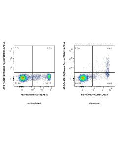 FcZero-rAb? APC Anti-Human Tissue Factor/CD142 Rabbit Recombinant Antibody Proteintech  APC-FcA98104