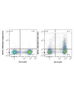 Anti-Mouse CD64 Rabbit Recombinant Antibody Proteintech  98218-1-RR