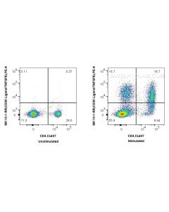 Anti-Mouse CD30 Ligand/TNFSF8 Rabbit Recombinant Antibody Proteintech  98113-1-RR